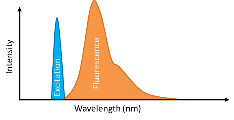 Fluorescence Spectroscopy - Prolog Optics